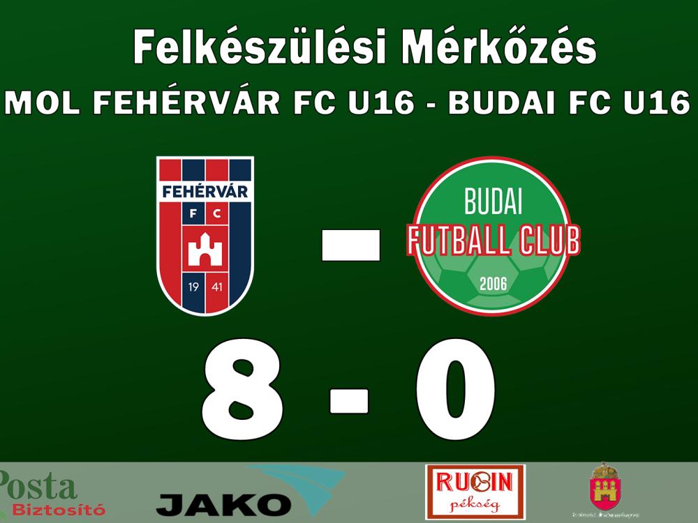 mol_feh_rv_r_u16_budai_u16_8_0_.jpg